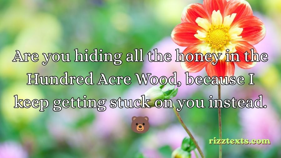 Winnie the Pooh Rizz Lines