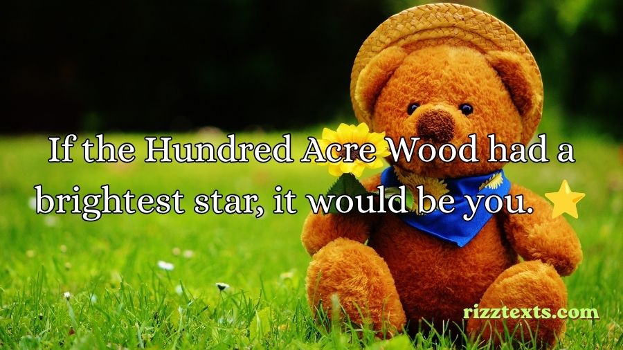 Winnie the Pooh Rizz Lines