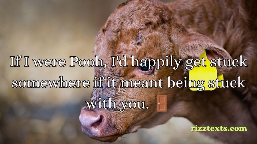 Winnie the Pooh Rizz Lines