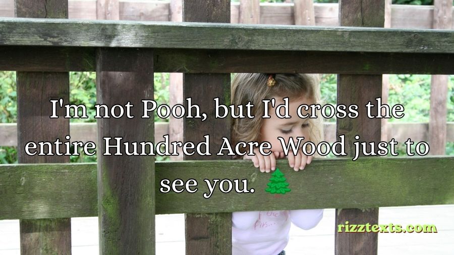 Winnie the Pooh Rizz Lines